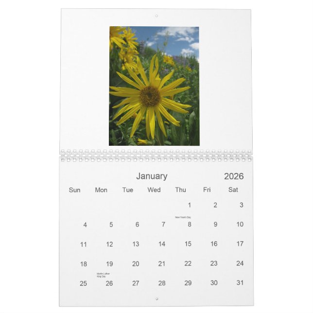2012 Best of Crested Butte Wildflower Vistas Calendar (Jan 2026)