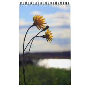 2012 Calendar
