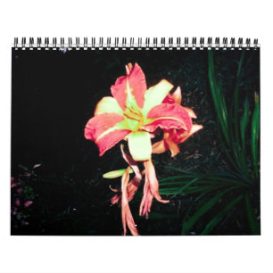 2012 Calender Calendar