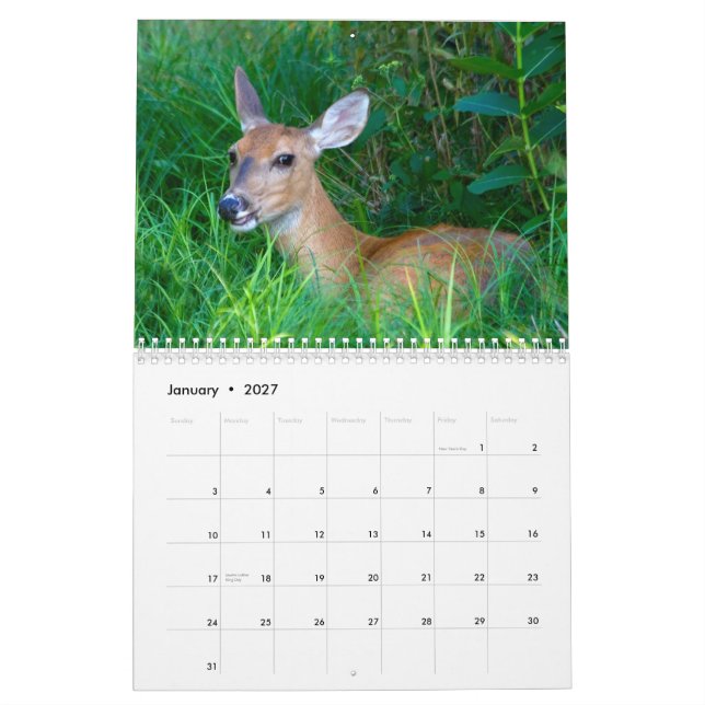 2012 Deer Lovers Calendar (Jan 2027)
