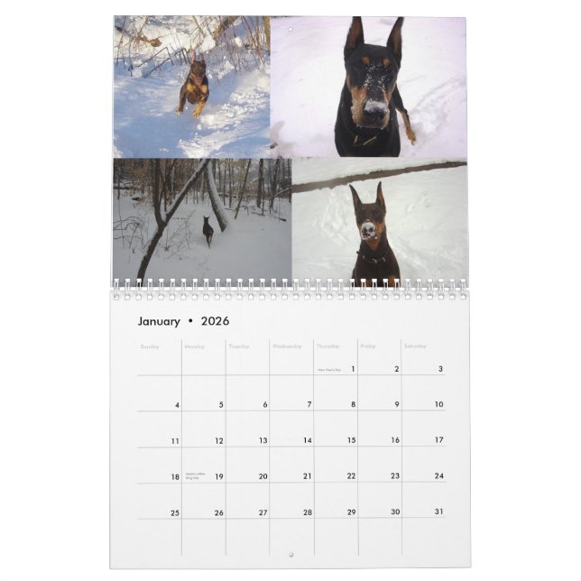 2012 Doberman Calendar  Again (Jan 2026)
