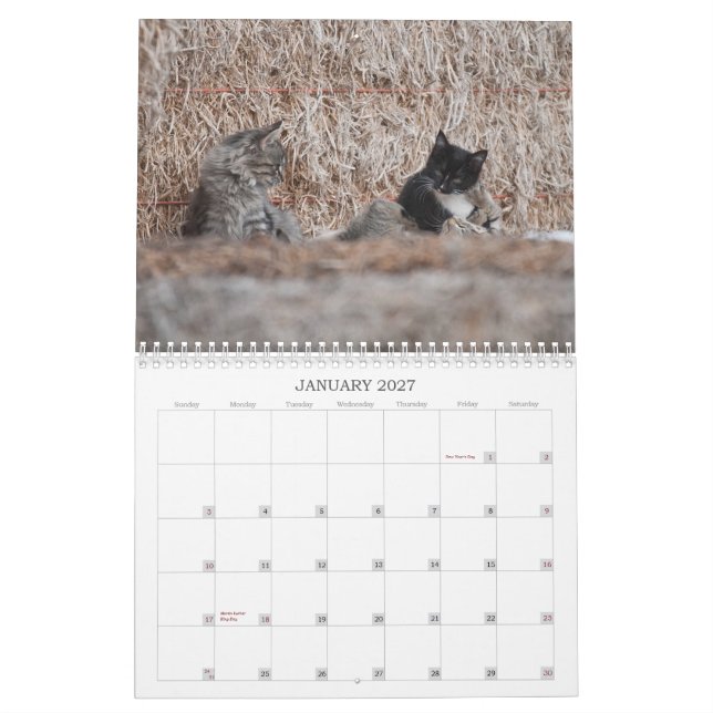 2012 Kittens of Wells Ranch Calendar (Jan 2027)