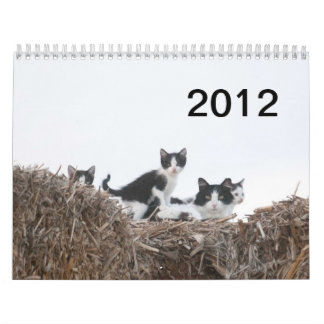2012 Kittens of Wells Ranch Calendar