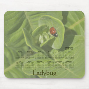 2012 Ladybug Calendar Mousepad