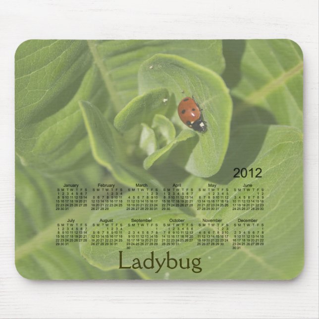 2012 Ladybug Calendar Mousepad (Front)