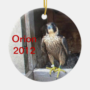 2012 Orion Ornament