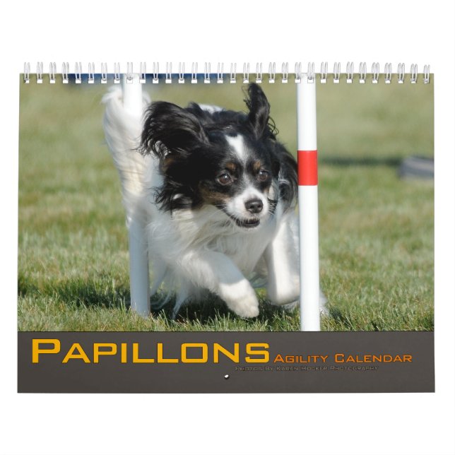 2012 Papillons Agility Calendar (Cover)