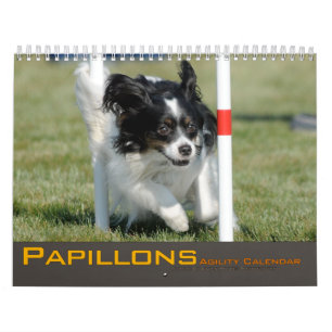 2012 Papillons Agility Calendar