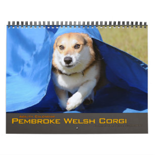 2012 Pembroke Welsh Corgi Agility Calendar