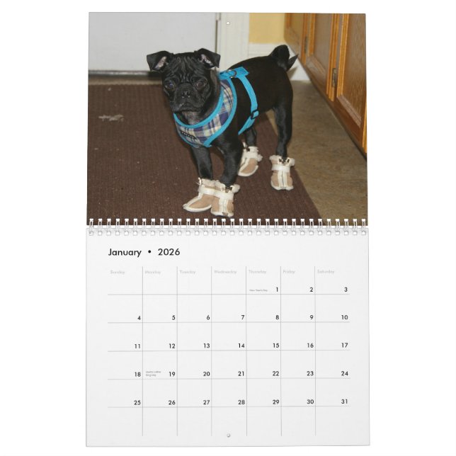 2012 Pug Calendar (Jan 2026)