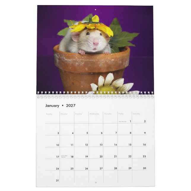 2012 rat calendar (Jan 2027)