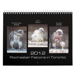 2012 Rochester Falcons in Toronto Calendar