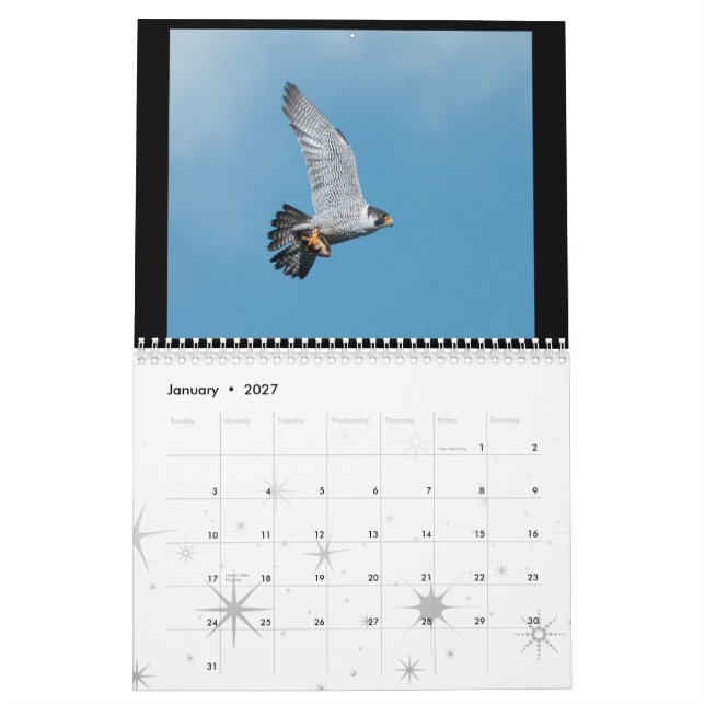 2012 Rochester Peregrine Falcon Calendar (Jan 2027)