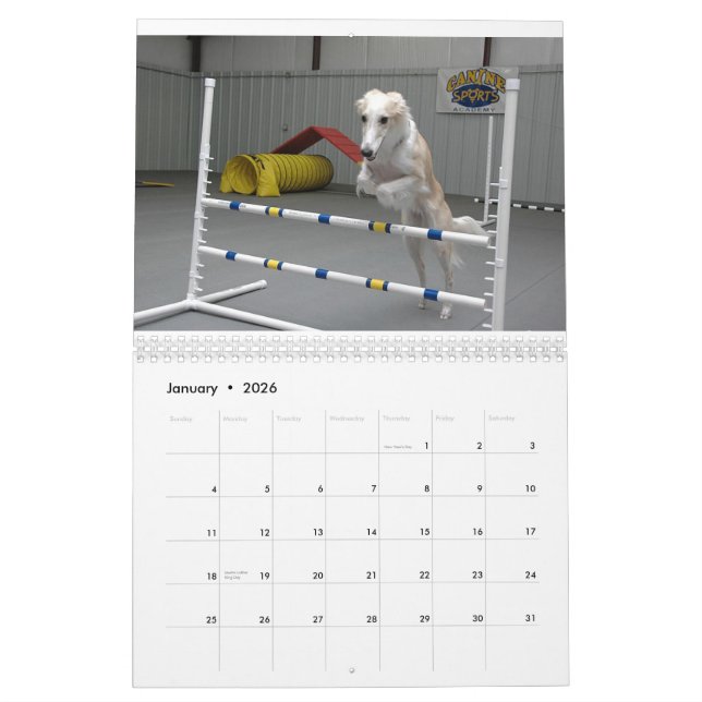 2012 Silken Windhounds In Action calendar (Jan 2026)