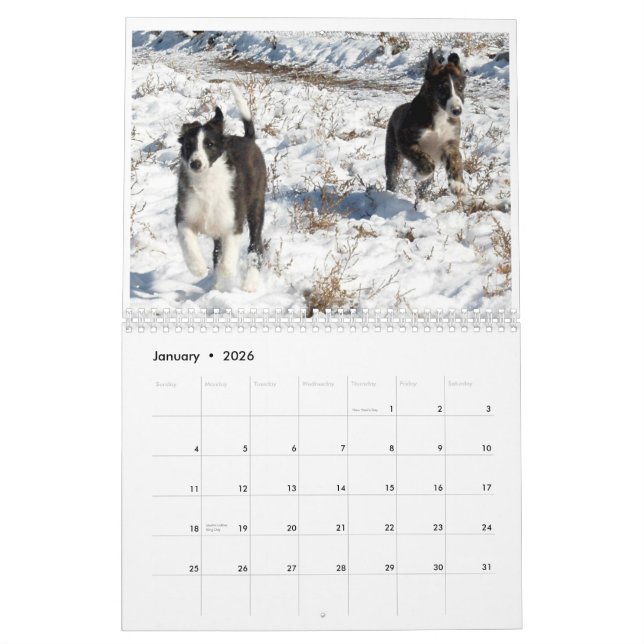 2012 Silken Windhounds Puppies 2 Calendar (Jan 2026)