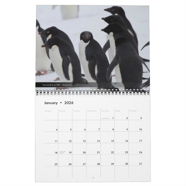2012 Wildlife & Landscape Calendar (Jan 2026)