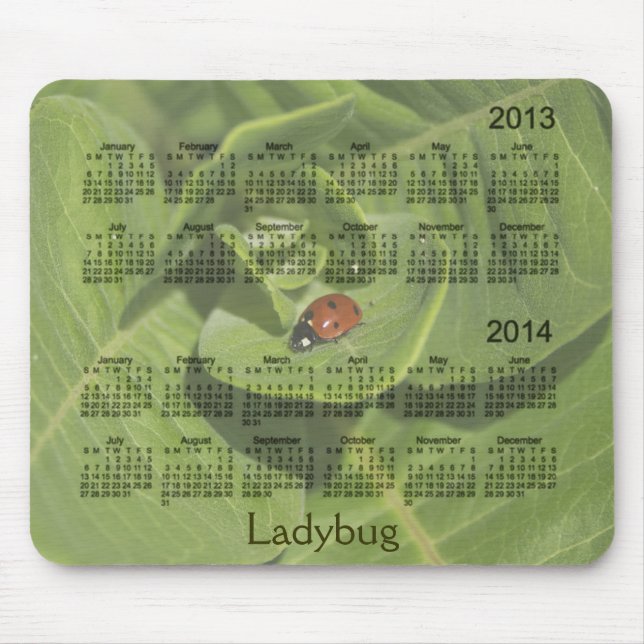 2013-2014 Ladybug Calendar Mousepad (Front)