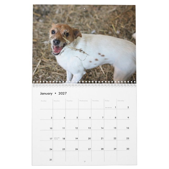 2013 Barn Hunt Assoc Calendar (Jan 2027)