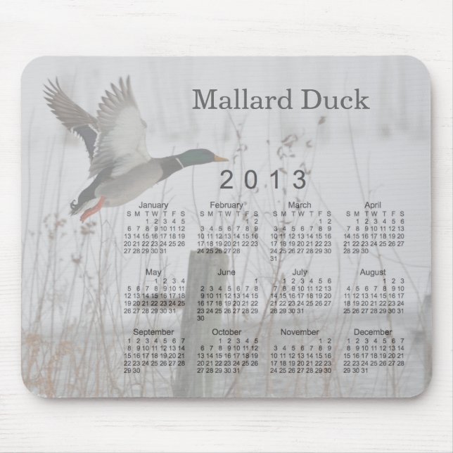 2013 Bird Calendar Mouse Pad (Front)