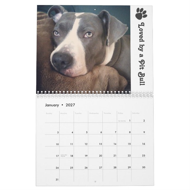 2013 Blu & Sinatra Calendar (Jan 2027)