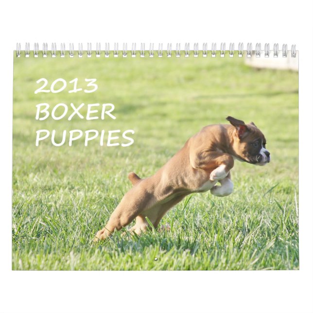 2013 Boxer Puppy Calendar (Cover)
