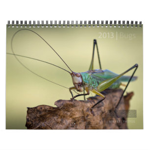 2013 BUGS "SPECIAL" CALENDAR BY MAYES   PHOTOS