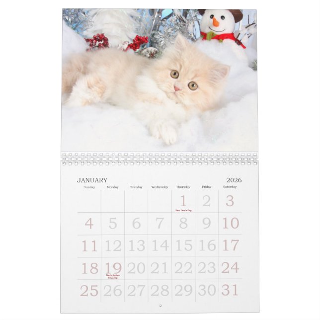 2013 Calendar (Jan 2026)