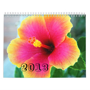 2013 CALENDAR