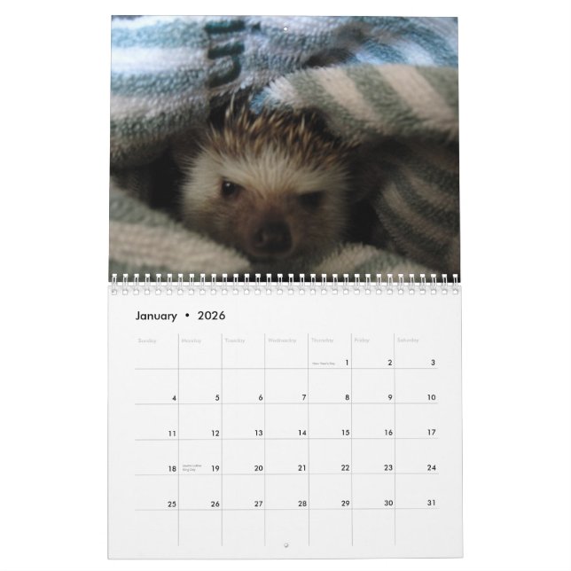 2013 Calendar 2 (Jan 2026)