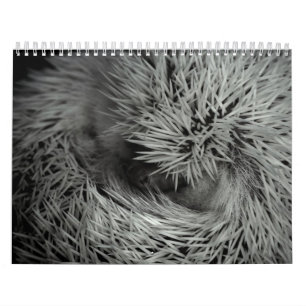 2013 Calendar 3