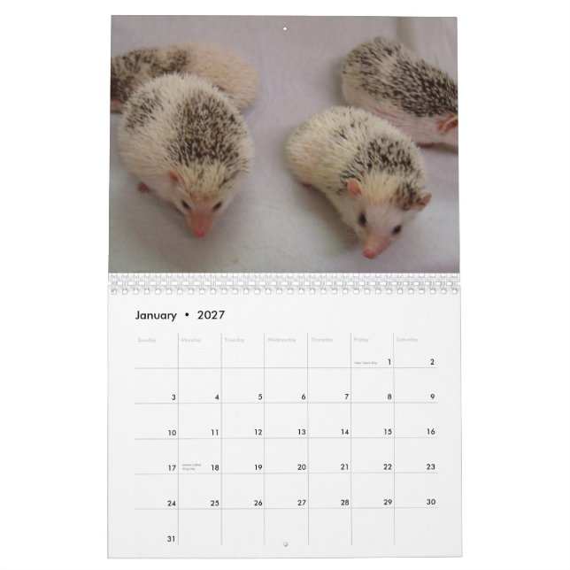 2013 Calendar 4 (Jan 2027)