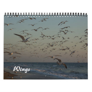 2013 Calendar - Wings