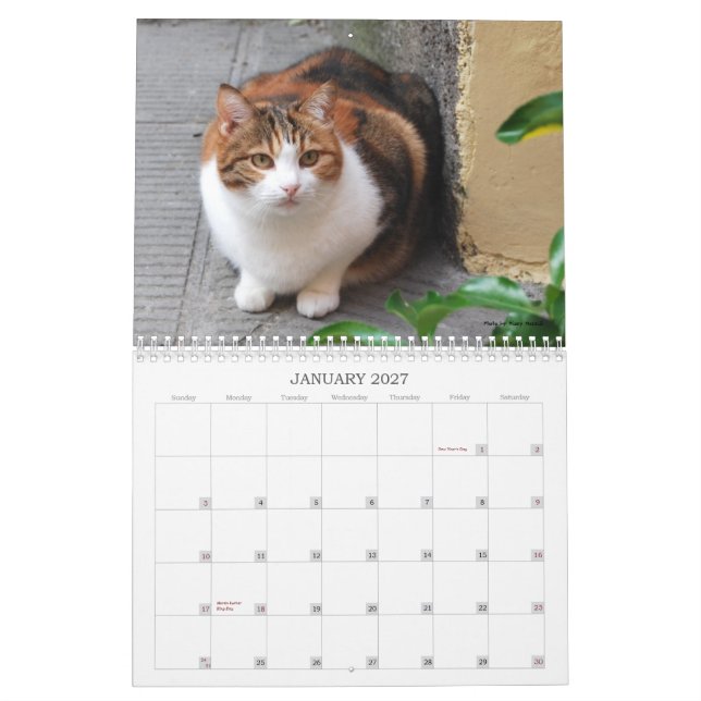 2013 Cat Calendar (Jan 2027)