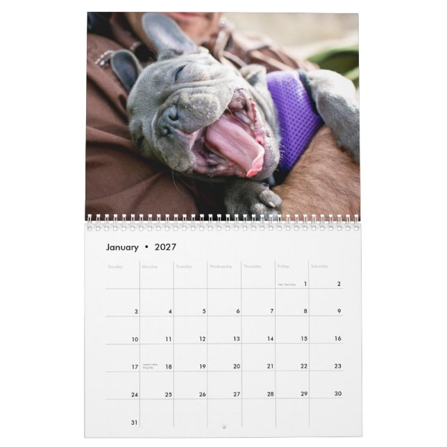 2013 Chicken Calendar (Jan 2027)