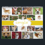 2013 Corgis! Calendar<br><div class="desc">A calendar for corgi lovers featuring some of the cutest photos of pembroke and cardigan welsh corgis ever! Each page is filled with one huge season specific corgi photo and 8-10 smaller corgi photos</div>