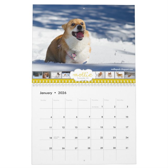 2013 Corgis! Calendar (Jan 2026)