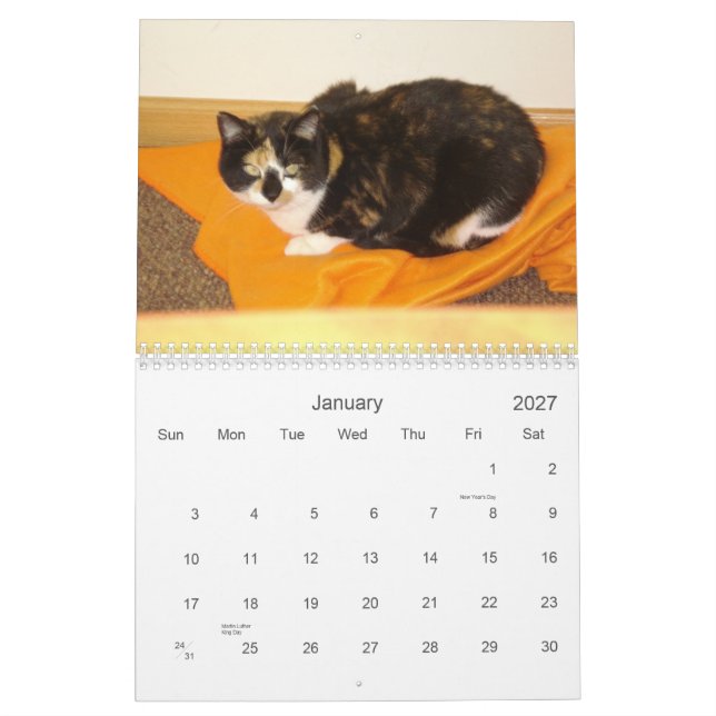 2013 Countdown Calendar (Jan 2027)