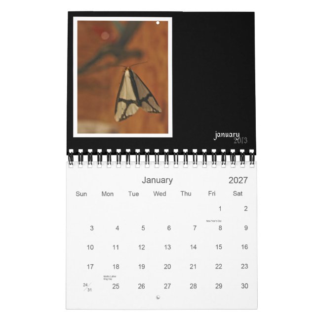 2013 Critters & Bugs Wall Calendar (Jan 2027)