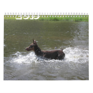 2013 Doberman Calendar-revised Nov Calendar