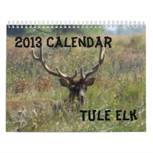 2013 Elk Calendar