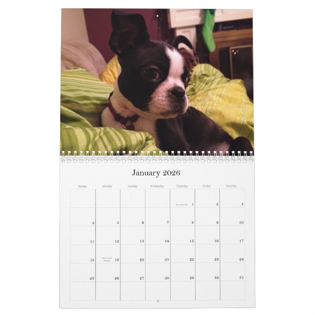 2013 Family Dogs Calendar (Jan 2026)