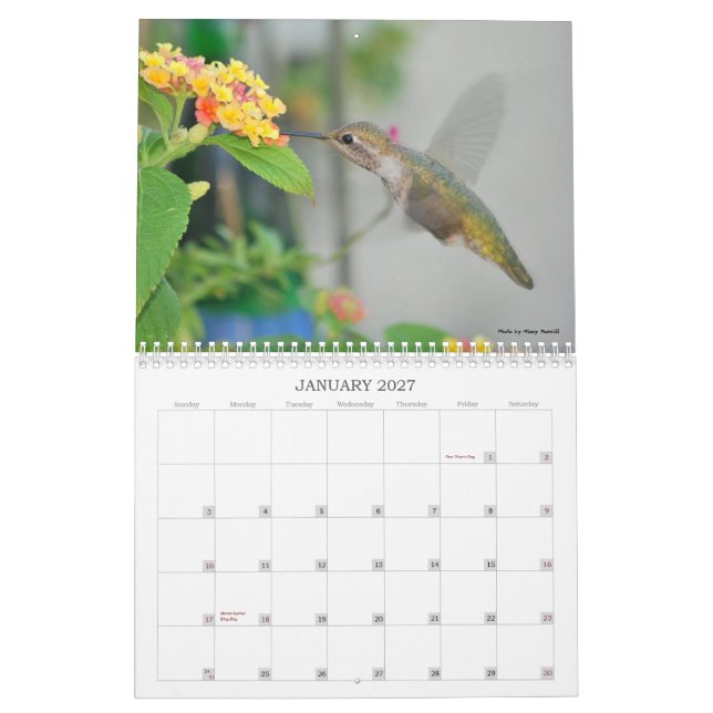 2013 Hummingbird Calendar (Jan 2027)