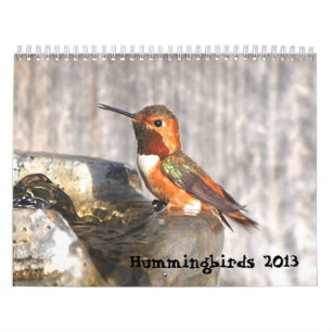 2013 Hummingbird Calendar