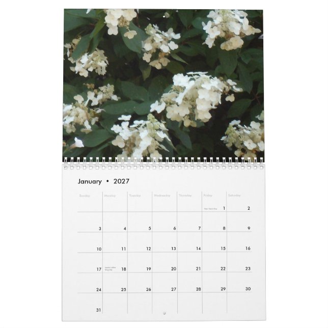 2013 Hydrangea Hues Calendar (Jan 2027)