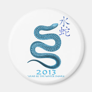 2013 MAGNET