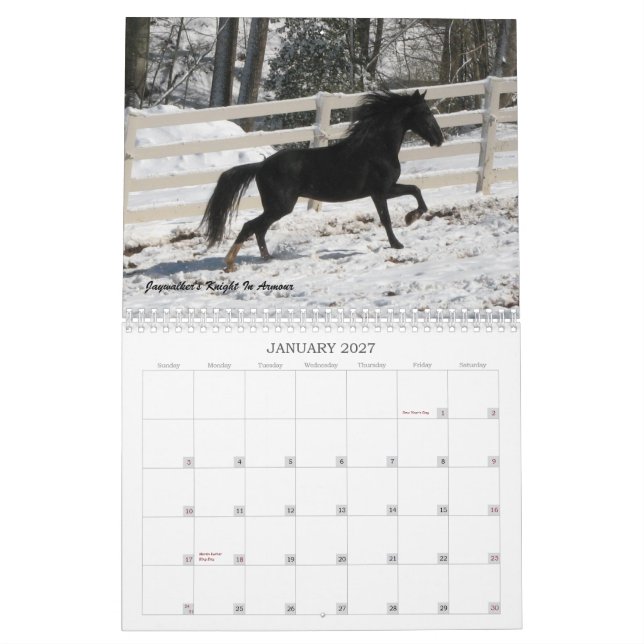 2013 Mountain Horse Calendar (Jan 2027)