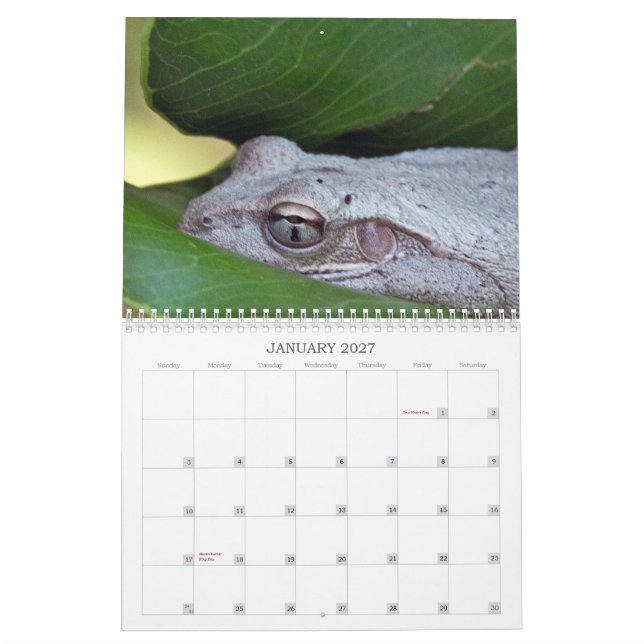 2013 Photo Calendar (Jan 2027)