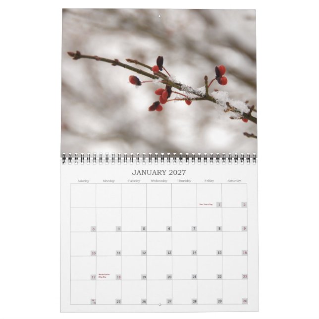 2013 Photography Calendar (Jan 2027)
