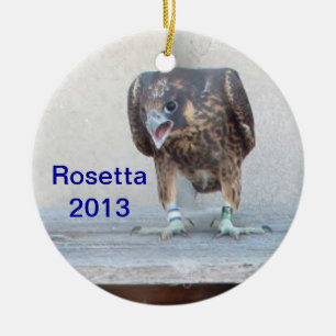 2013 Rosetta Ornament