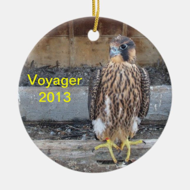 2013 Voyager Ornament (Front)